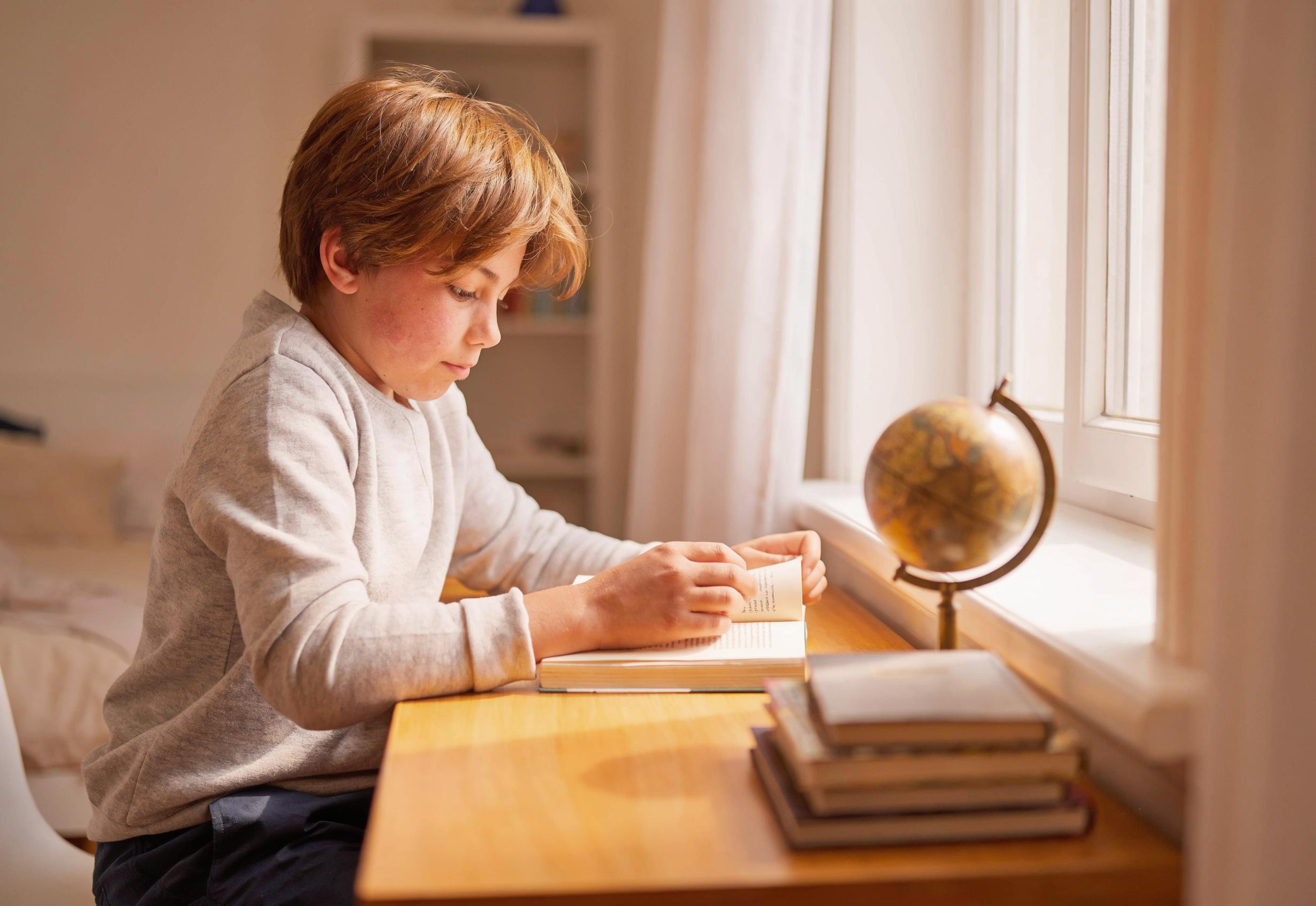 A student reading at a sunlit desk at home